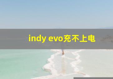 indy evo充不上电